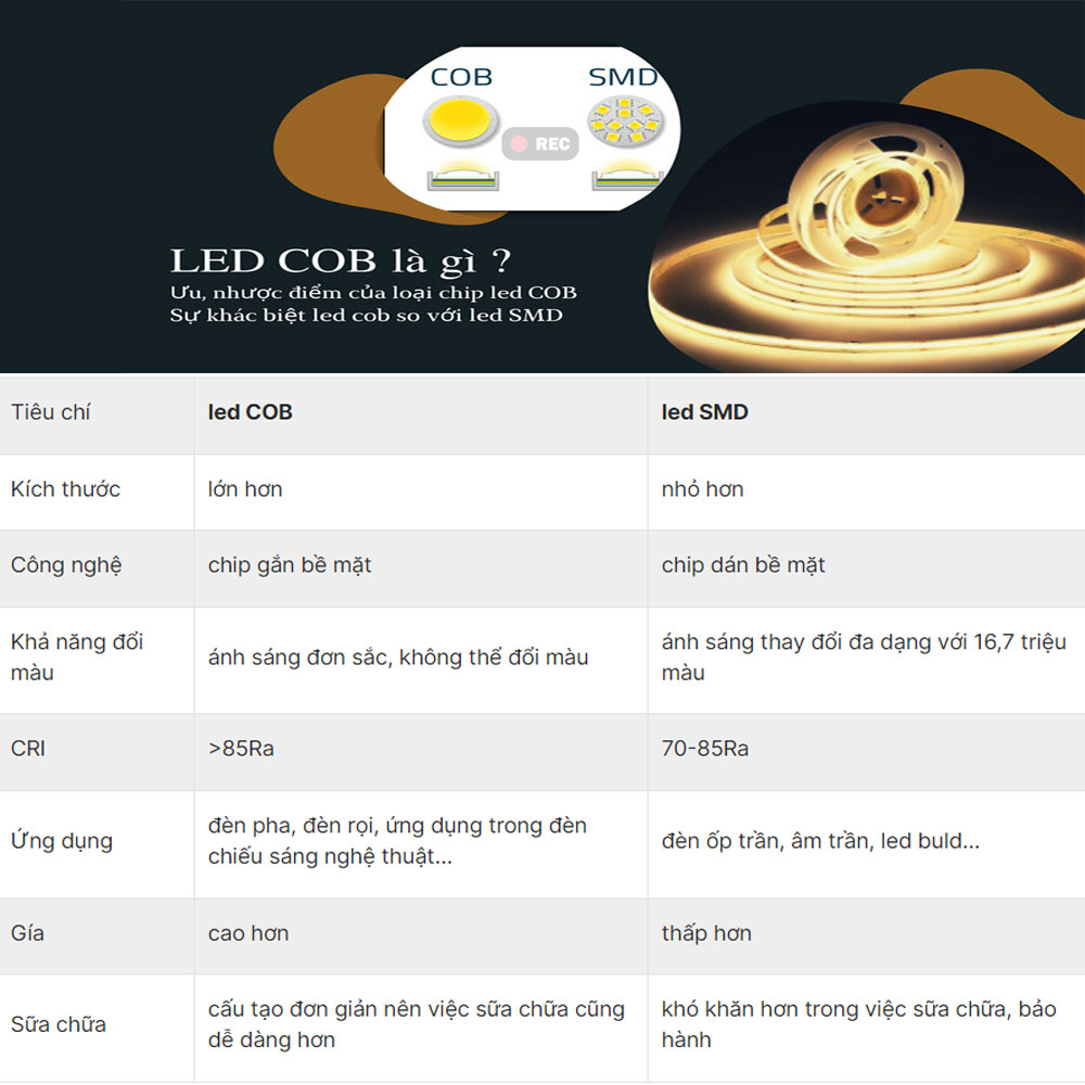 Bộ đèn studio SHUNYI BK-0929