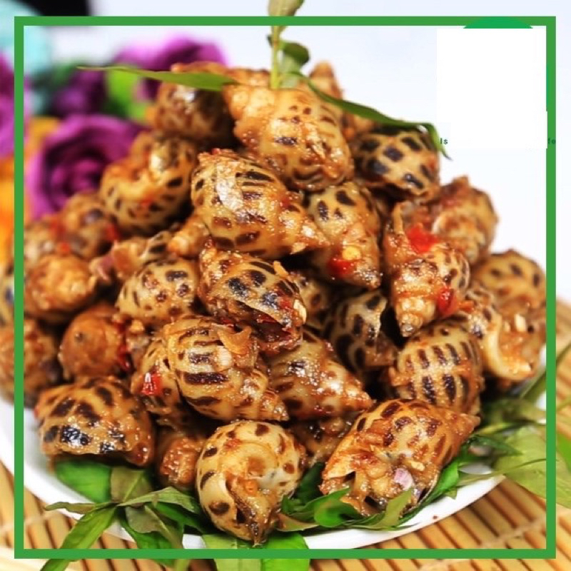 Ốc hương to ngon 1kg 👍GIÁ RẺ👍 thơm ngon giòn sần sật