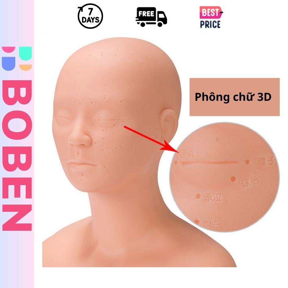Đầu canh nửa người canh vai gáy học massage khắc chữ 3D có huyệt