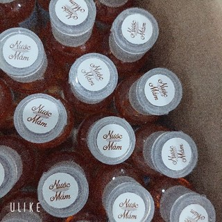 [Hương Nước Mắm] Câu cá chai 30ml