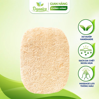 Miếng xơ mướp thay thế Cây chà lưng tắm cán gỗ xơ mướp handmade Oganic