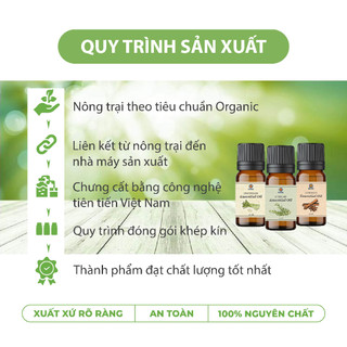 TINH DẦU SẢ NGUYÊN CHẤT 20ml - TINH DẦU SẢ CAO CẤP - TINH DẦU CỦA VIỆN SINH HỌC ỨNG DỤNG