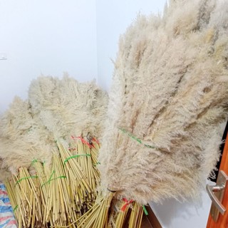 Bông lau xù decor trang trí 130cm