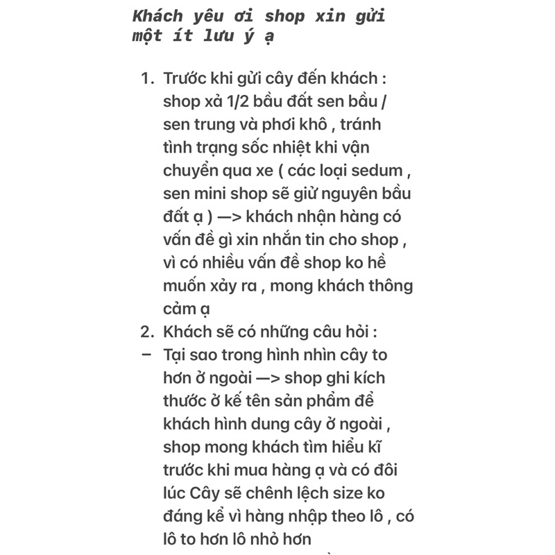 Sen Đá Bướm Sò Mini