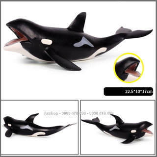 Mô Hình Cá Voi Sát Thủ Hunter Whale - Size Trung 22cm