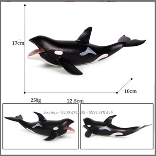 Mô Hình Cá Voi Sát Thủ Hunter Whale - Size Trung 22cm