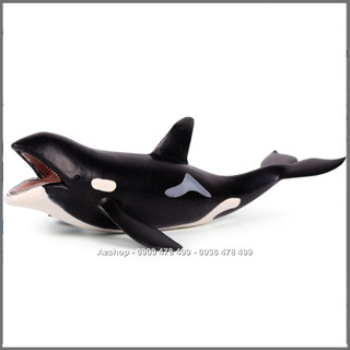Mô Hình Cá Voi Sát Thủ Hunter Whale - Size Trung 22cm