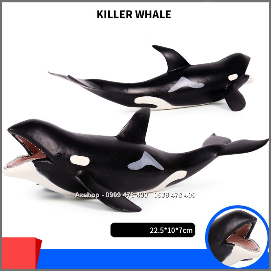 Mô Hình Cá Voi Sát Thủ Hunter Whale - Size Trung 22cm