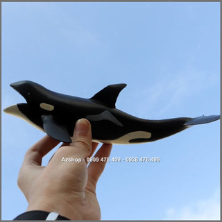 Mô Hình Cá Voi Sát Thủ Hunter Whale - Size Trung 22cm