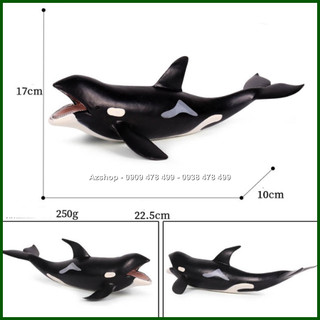 Mô Hình Cá Voi Sát Thủ Hunter Whale - Size Trung 22cm