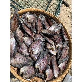 khô sặc bổi loại đại