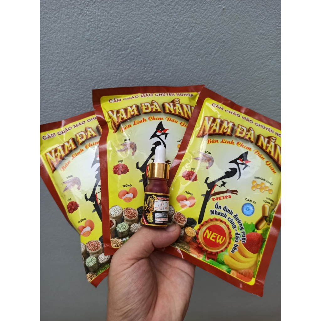CÁM NEW NAM ĐÀ NẴNG CHO CHIM CHÀO MÀO ĐẤU