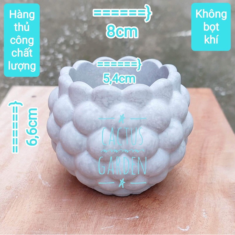 chậu quả na