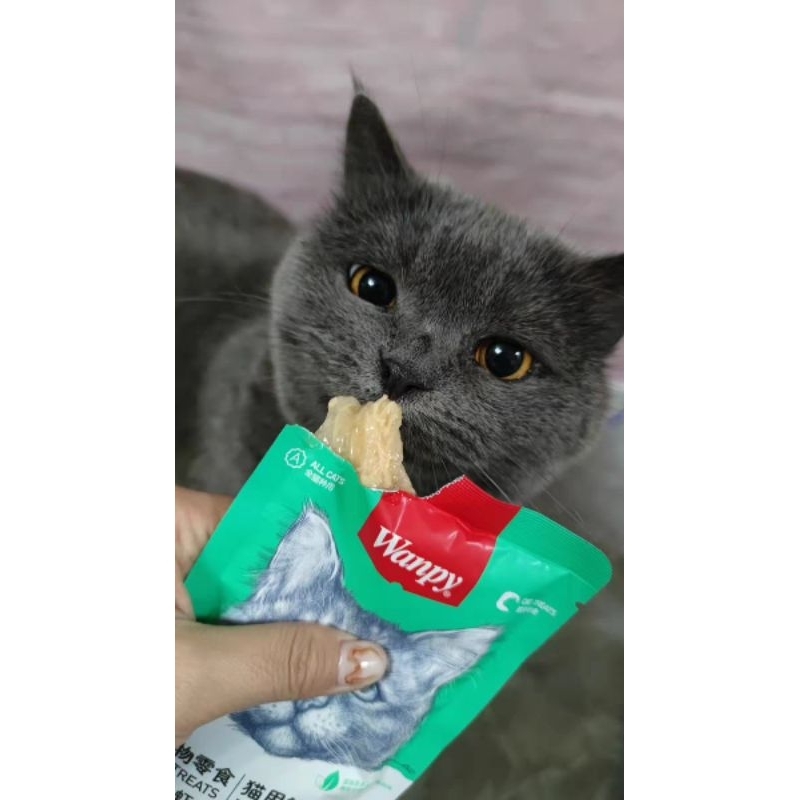 Pate Wanpy cho mèo gói 80g - Gói thức ăn ướt Wanpy 80g cho mèo