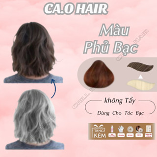 Thuốc Nhuộm Tóc PHỦ BẠC Màu Thời Trang | Ca.ohairshops