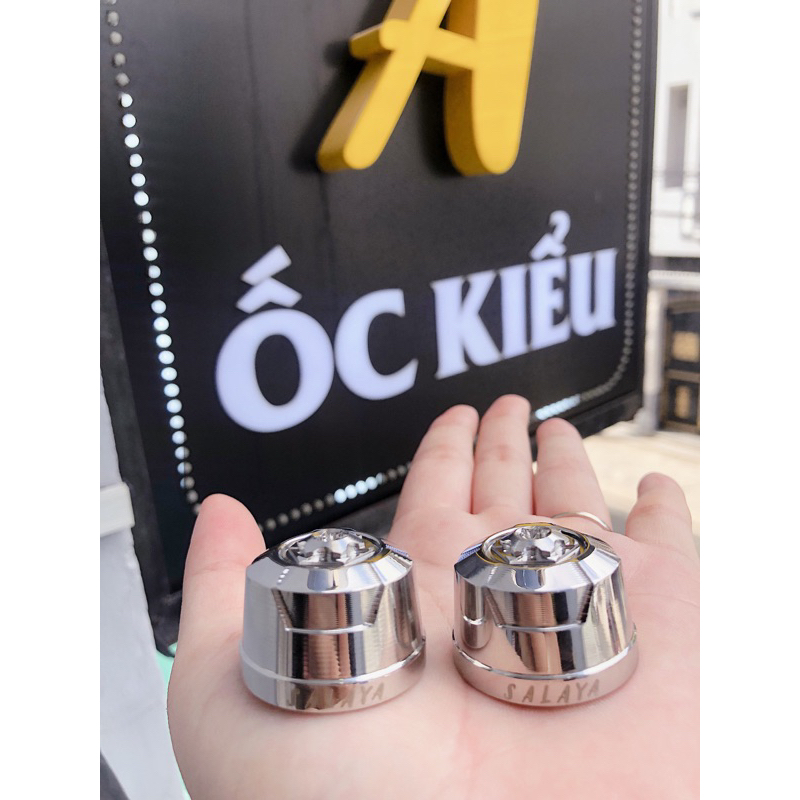 Gù Salaya Ab 2022 Vario 160 Chính hãng