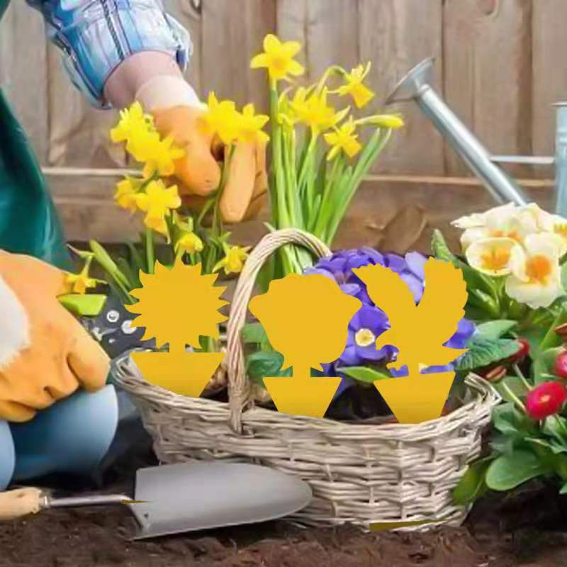 Miếng bẫy dính côn trùng ruồi, muỗi hai mặt siêu thu hút, siêu dính an toàn sinh học