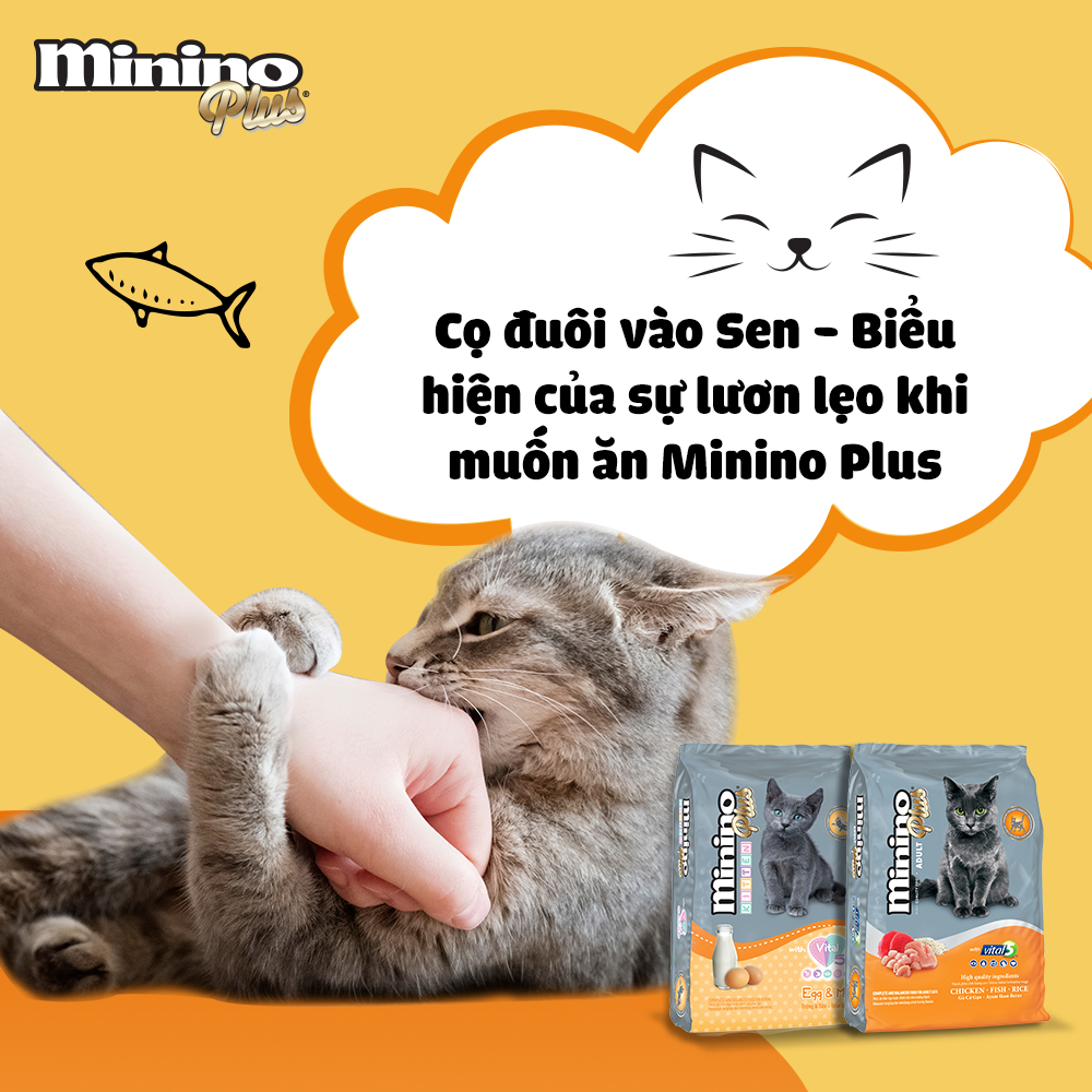 [350g] Thức Ăn Hạt Cho Mèo Minino Plus