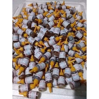 Thuốc diệt kiến dán tận gốc
