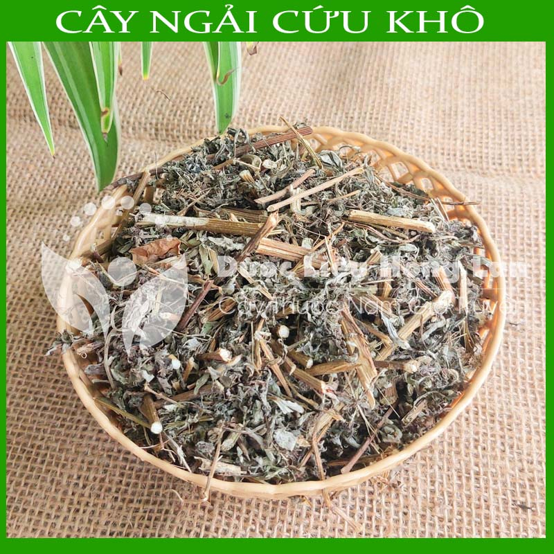 Thảo dược CÂY NGẢI CỨU khô sạch đóng gói 500gram - congtyduoclieuhonglan