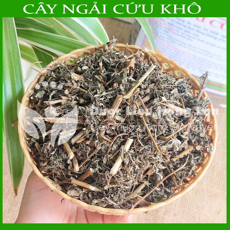 Thảo dược CÂY NGẢI CỨU khô sạch đóng gói 500gram - congtyduoclieuhonglan
