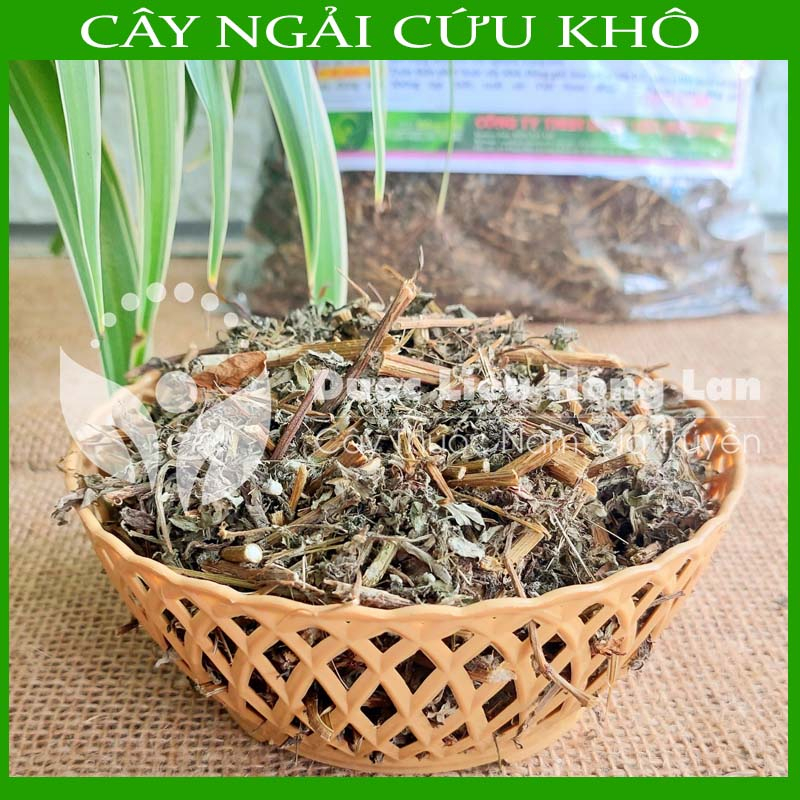 Thảo dược CÂY NGẢI CỨU khô sạch đóng gói 500gram - congtyduoclieuhonglan
