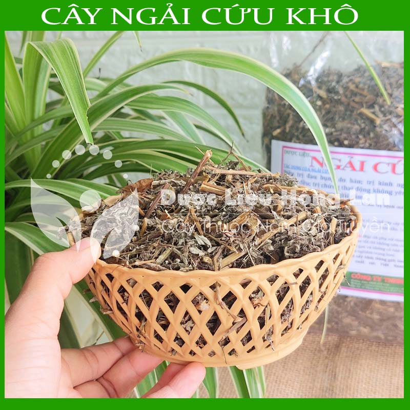 Thảo dược CÂY NGẢI CỨU khô sạch đóng gói 500gram - congtyduoclieuhonglan