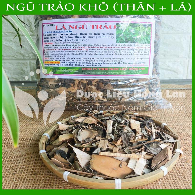 LÁ CÂY NGŨ TRẢO khô sạch đóng gói 1kg - congtyduoclieuhonglan