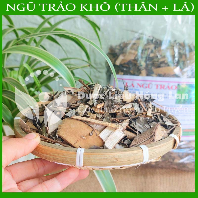 LÁ CÂY NGŨ TRẢO khô sạch đóng gói 1kg - congtyduoclieuhonglan