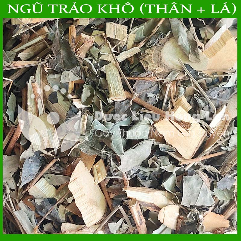 LÁ CÂY NGŨ TRẢO khô sạch đóng gói 1kg - congtyduoclieuhonglan