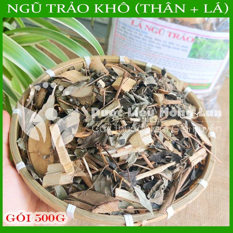 Thảo dược LÁ NGŨ TRẢO khô sạch đóng gói 500gram - congtyduoclieuhonglan