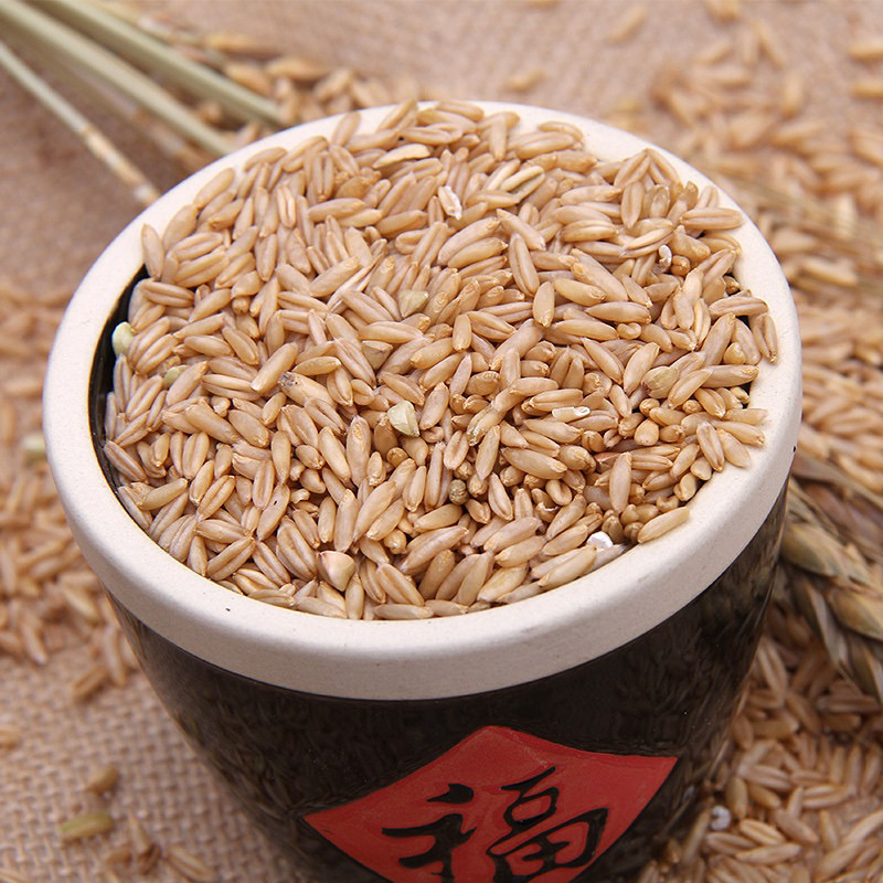 gạo Yến mạch-nhiều công dụng tốt cho sức khoẻ