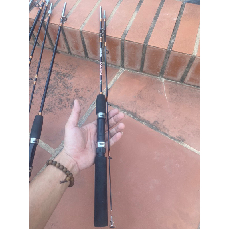 Cần 2 Khúc Đặc.Siêu Tải Cá