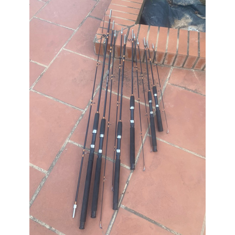 Cần 2 Khúc Đặc.Siêu Tải Cá