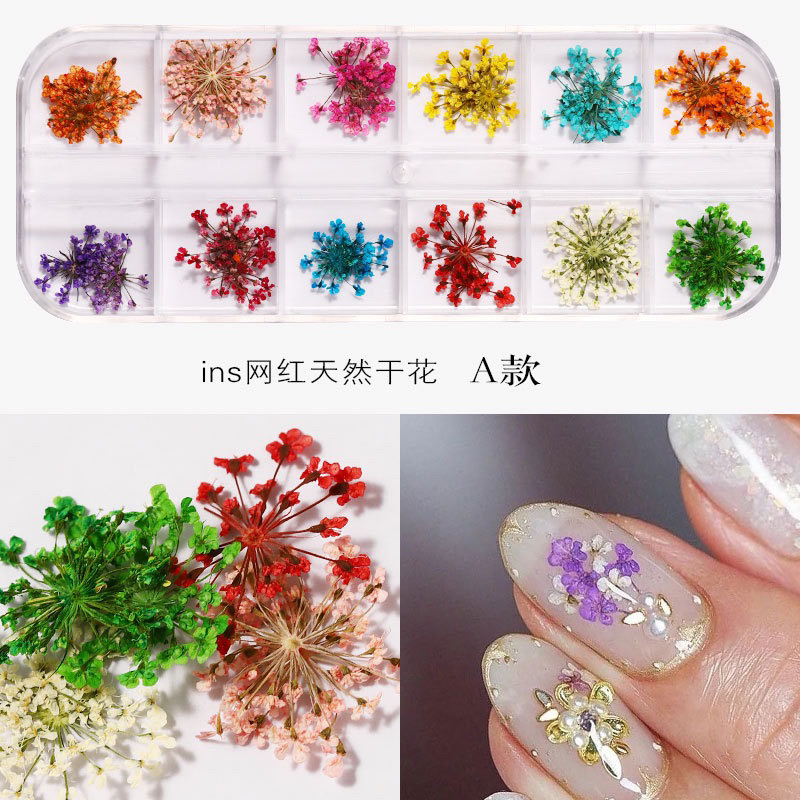 Hoa Khô Dùng Để Trang Trí Móng Tay