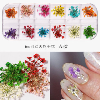 Hoa Khô Dùng Để Trang Trí Móng Tay