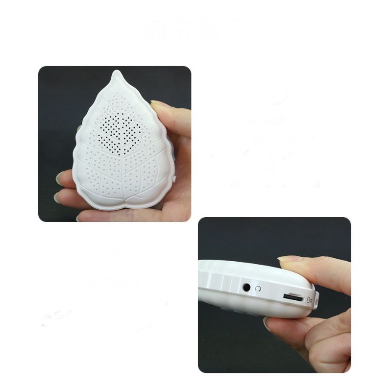 Đài nghe pháp, nghe nhạc thần chú mật tông