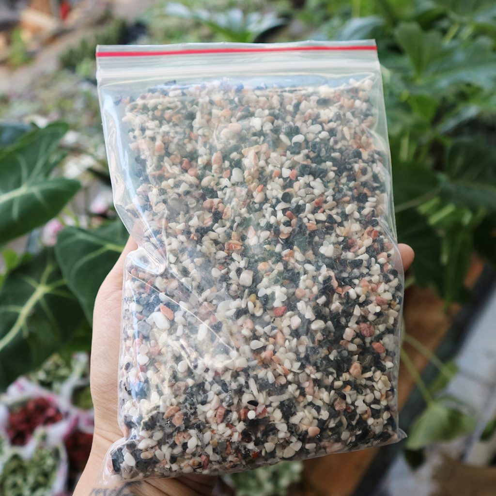 Sỏi dùng để rải mặt chậu cây, trang trí tiểu cảnh, sân vườn