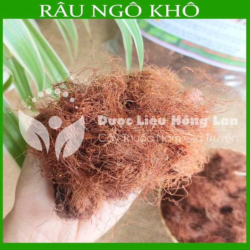 Thảo dược RÂU NGÔ khô sạch đóng gói 500gram - congtyduoclieuhonglan