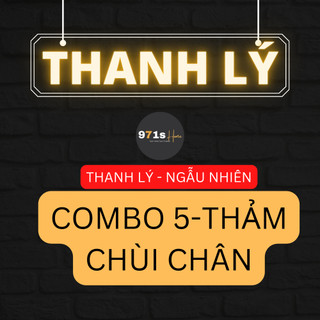 Combo 5 tấm thảm chùi chân lau chân chất nỉ 40x60cm
