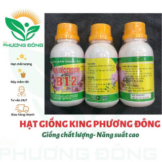 VITAMIN B12 - GIẢI ĐỘC CÂY B12 100ml