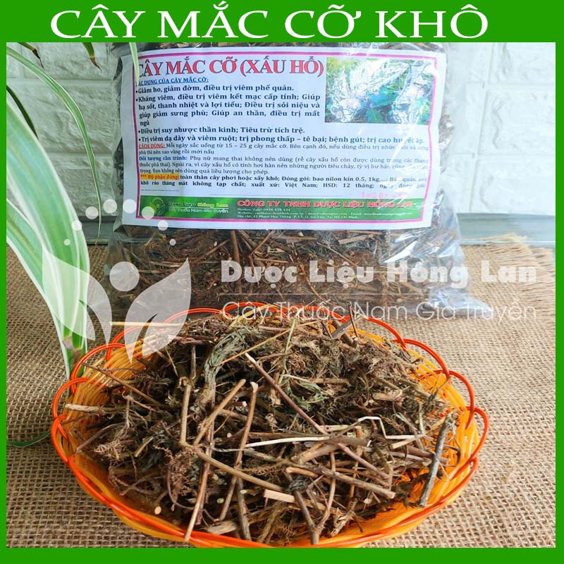 Thảo dược CÂY MẮC CỠ  khô sạch đóng gói 500gram congtyduoclieuhonglan
