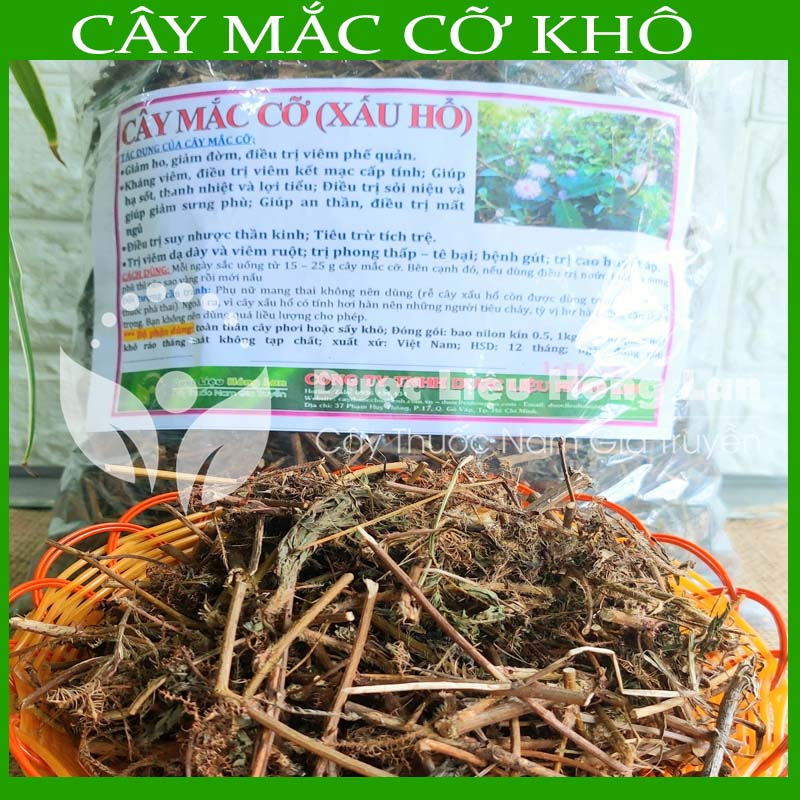 Thảo dược CÂY MẮC CỠ  khô sạch đóng gói 500gram congtyduoclieuhonglan
