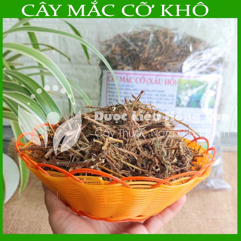 Thảo dược CÂY MẮC CỠ  khô sạch đóng gói 500gram congtyduoclieuhonglan