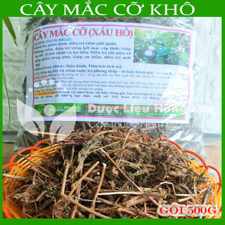 Thảo dược CÂY MẮC CỠ (XẤU HỔ) khô sạch đóng gói 500gram congtyduoclieuhonglan