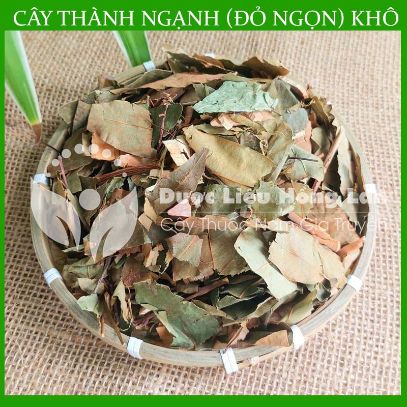 ✅  Cây Thành Ngạnh  khô sạch