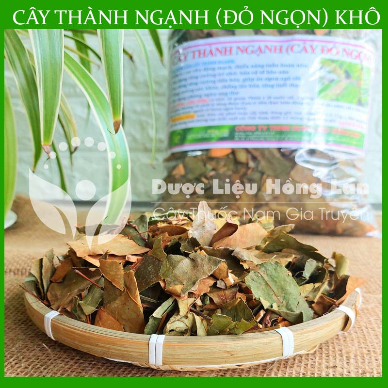 ✅  Cây Thành Ngạnh  khô sạch