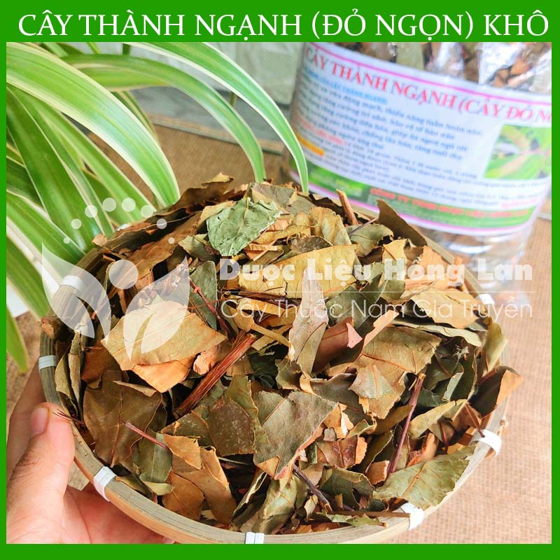 ✅  Cây Thành Ngạnh  khô sạch