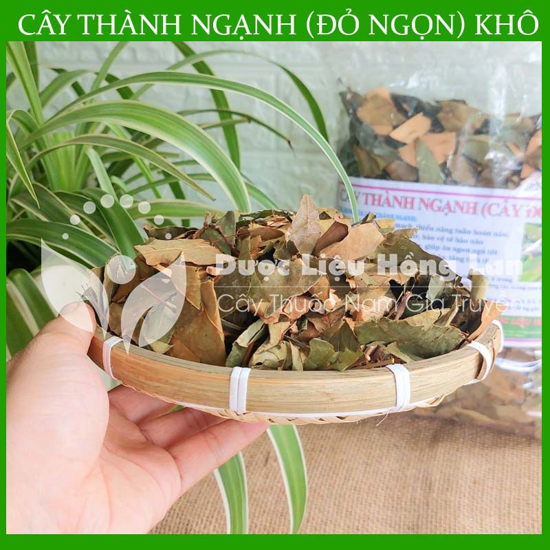 ✅  Cây Thành Ngạnh  khô sạch