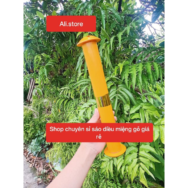 Sáo đơn giá rẻ thả diều Chuông đẩu miệng gỗ, sáo đơn